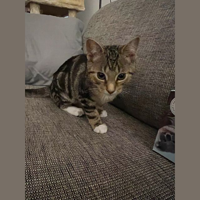 Photo of Elijah 