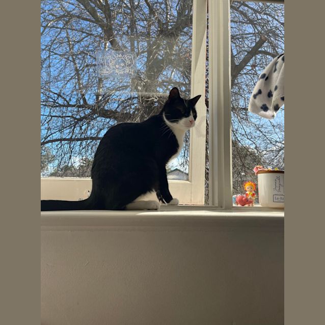 Photo of Mikey 