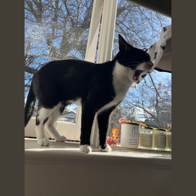Photo of Mikey 