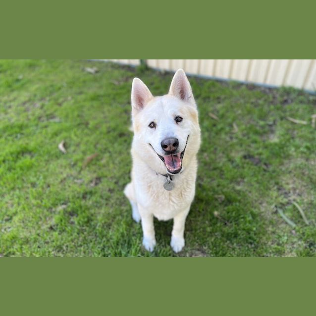 Photo of Whizzer