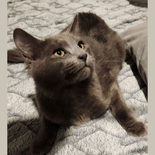 Photo of Hugo