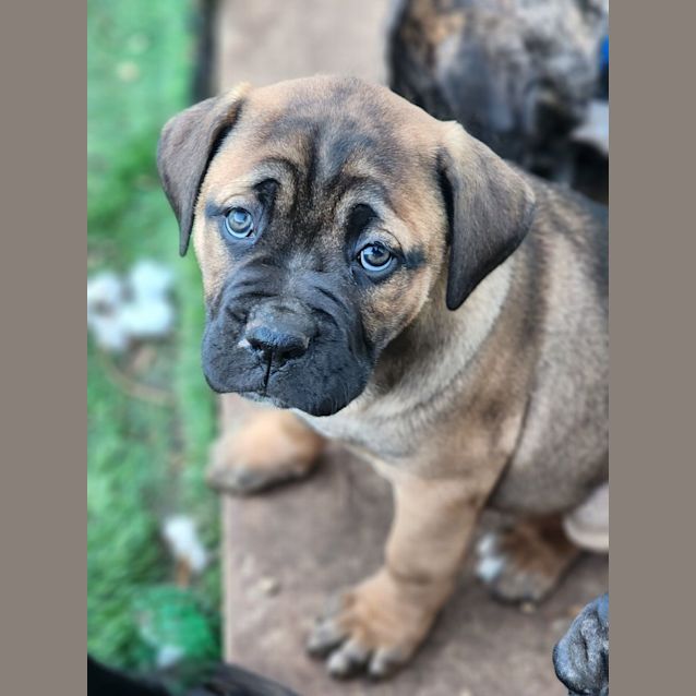 Photo of Dolly Parton