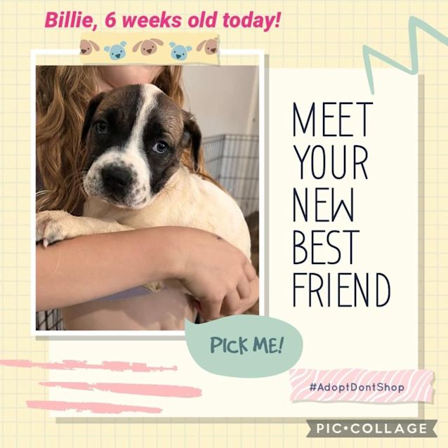 Photo of Billie