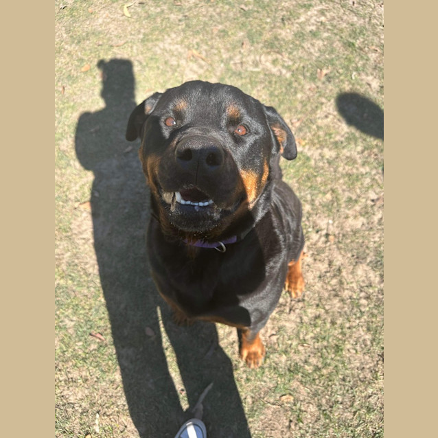 Photo of Roly
