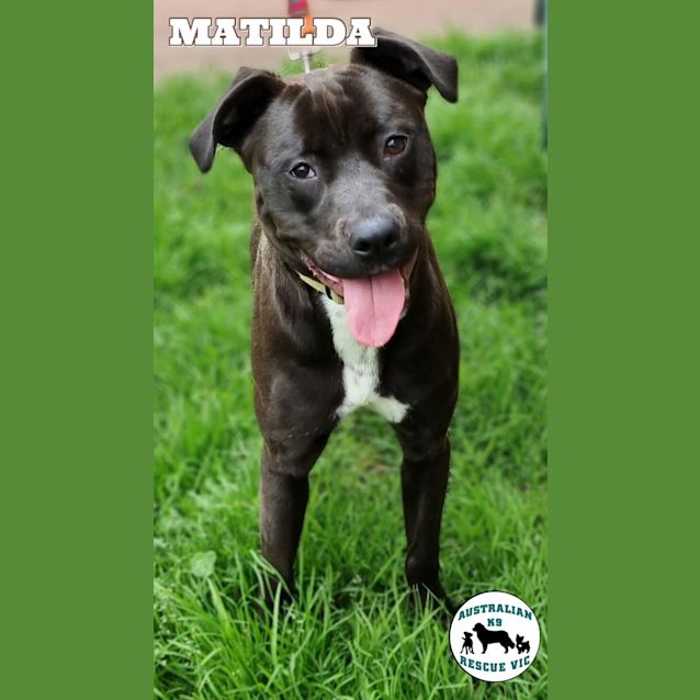 Photo of Matilda 