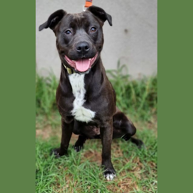 Photo of Matilda 