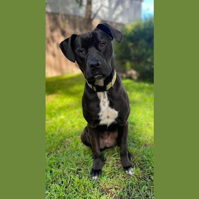 Photo of Matilda 