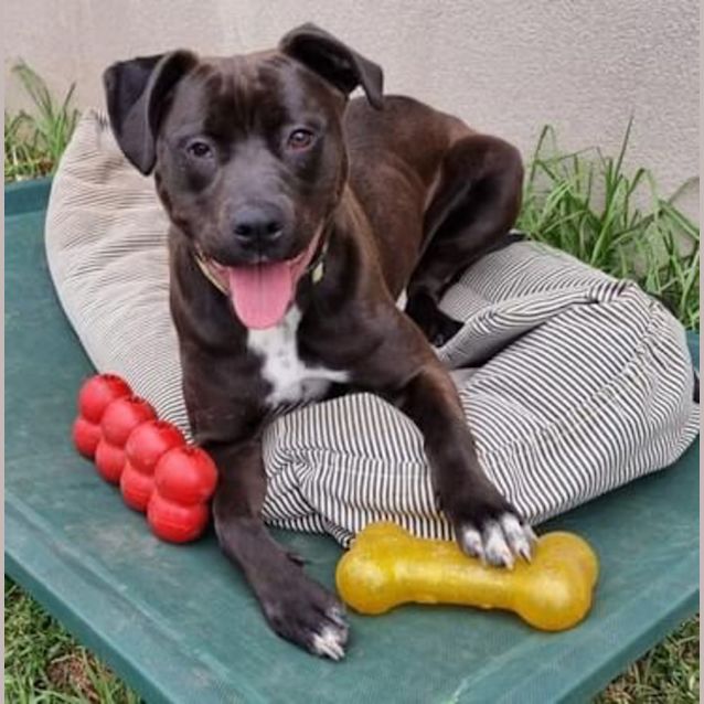 Photo of Matilda 
