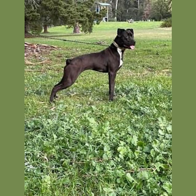 Photo of Matilda 