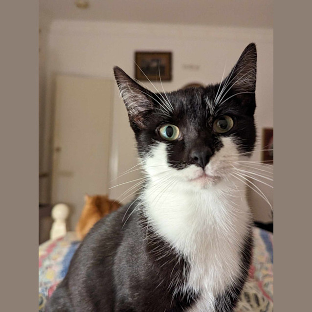 Photo of Milly And Bodhi