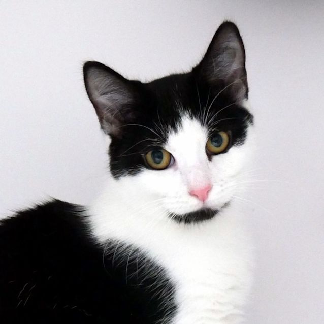 Photo of Kora Suk011625