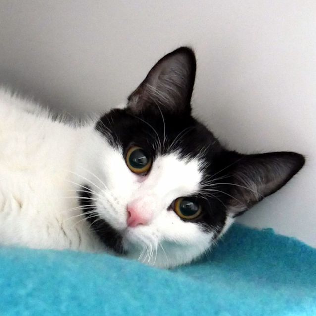 Photo of Kora Suk011625