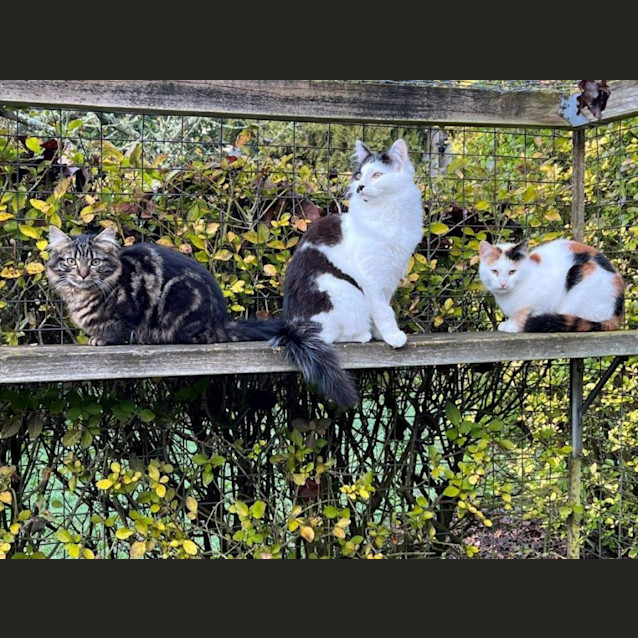 Photo of Minka Upchurch