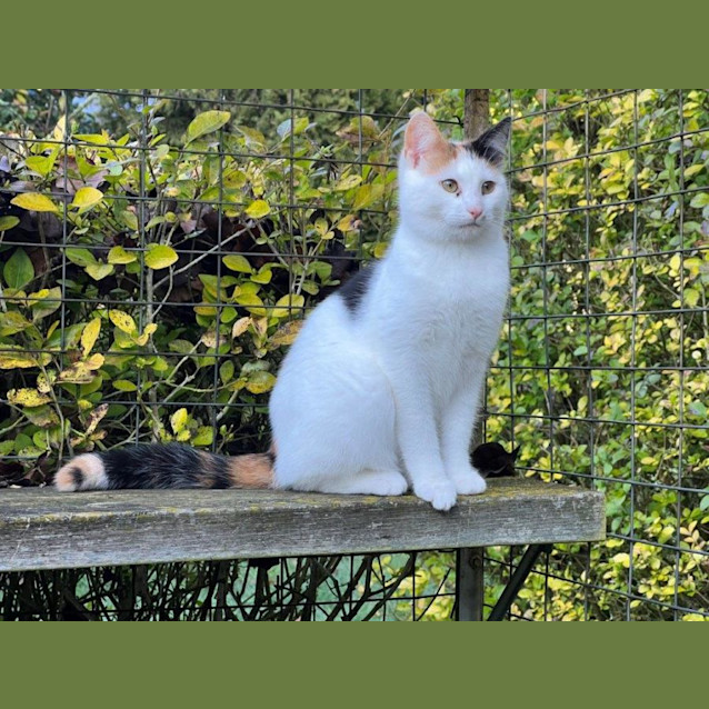 Photo of Minka Upchurch