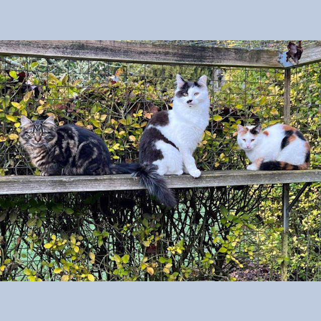 Photo of Minka Upchurch