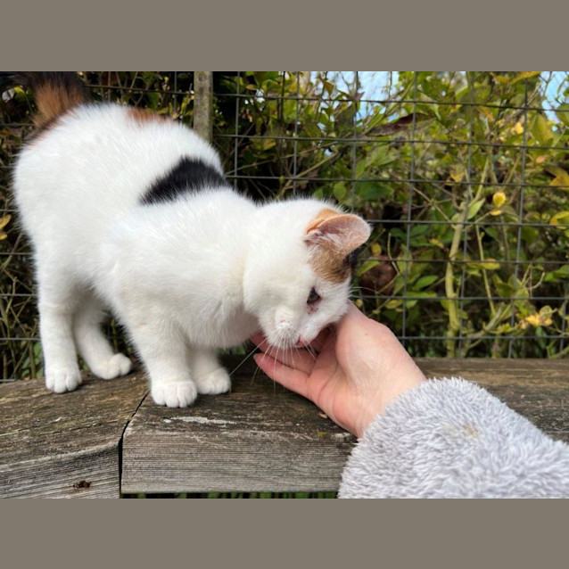 Photo of Minka Upchurch