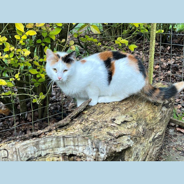 Photo of Minka Upchurch