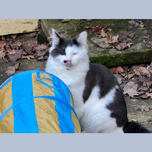 Photo of Marcel Upchurch