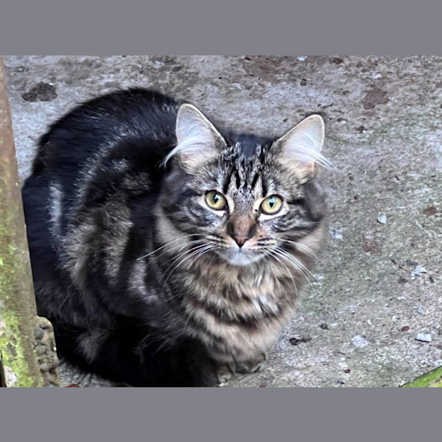 Photo of Mischief Upchurch