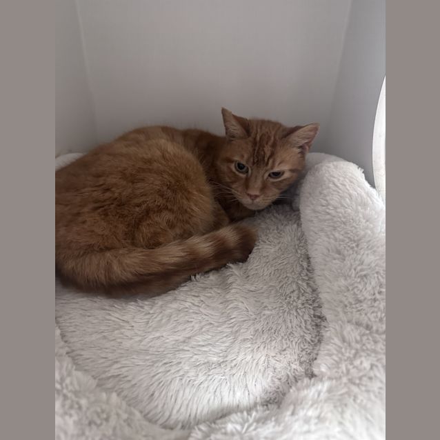 Photo of Billy