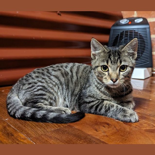 Photo of Imp