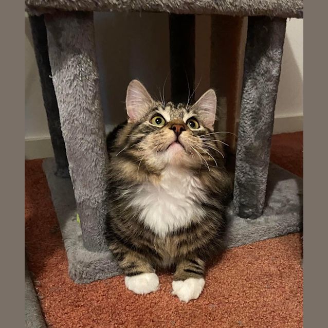 Photo of Captain