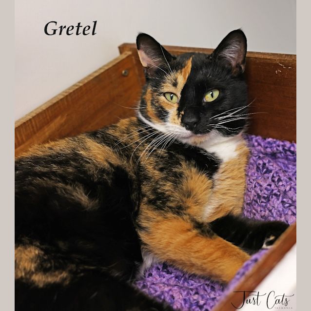 Photo of Gretel