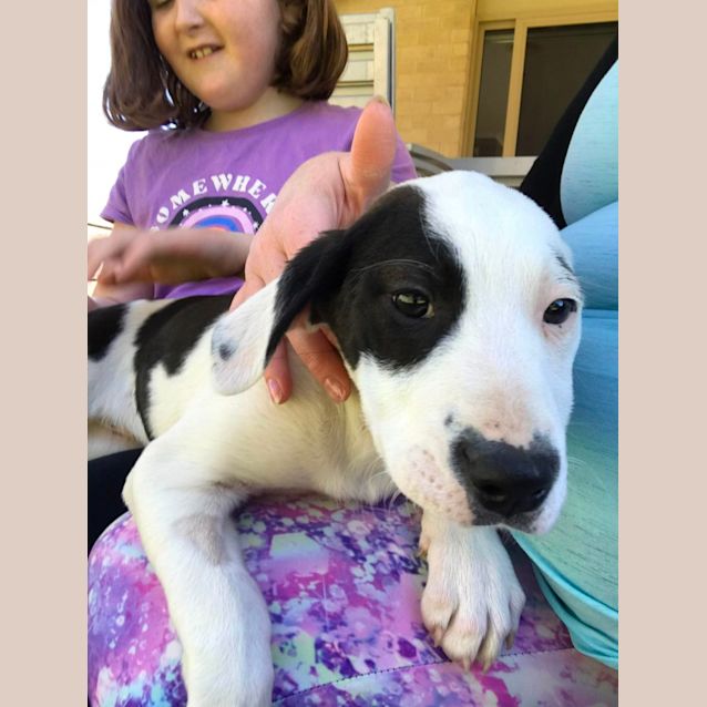 Photo of Florence (Coco)