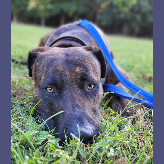 Photo of Charlie Brown 