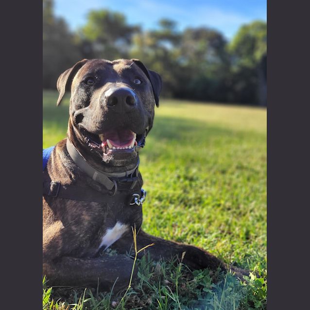 Photo of Charlie Brown 