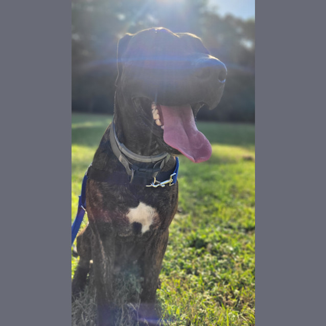 Photo of Charlie Brown 