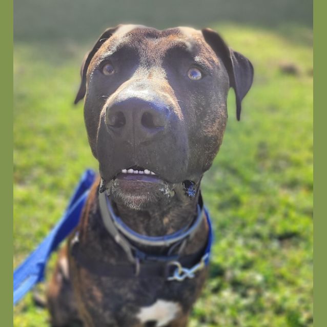 Photo of Charlie Brown 