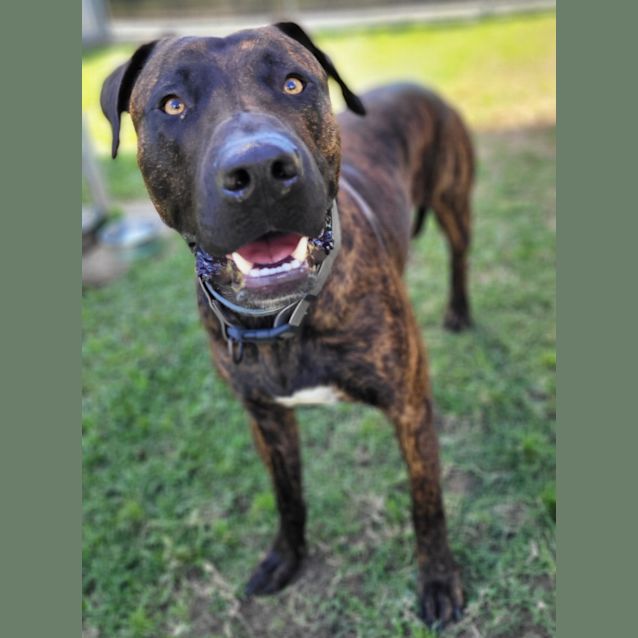 Photo of Charlie Brown 