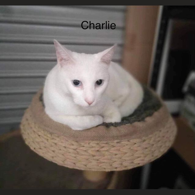 Photo of Charlie