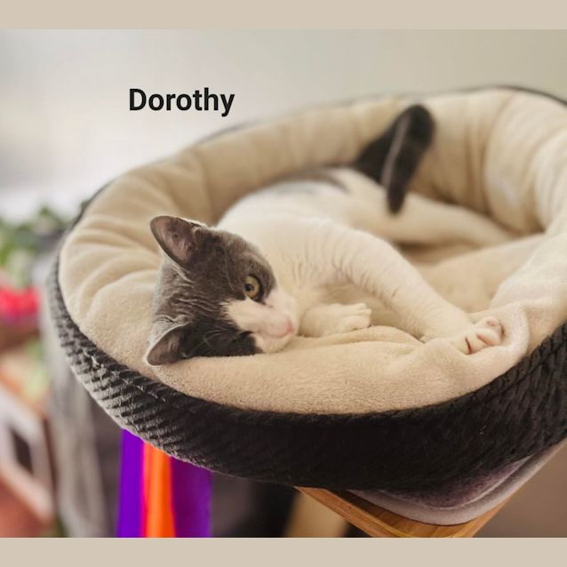 Photo of Dorothy