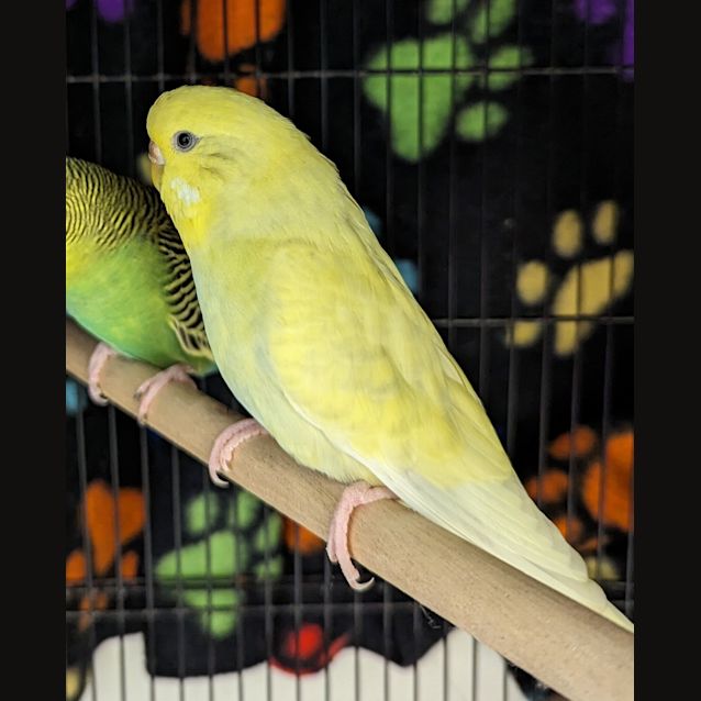 Photo of Post It