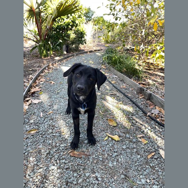 Photo of Balter