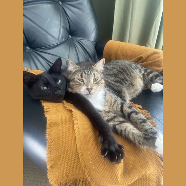 Photo of Gus And Alfie