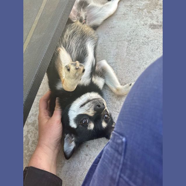 Photo of Teki