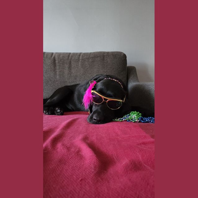 Photo of Georgie Wiggles