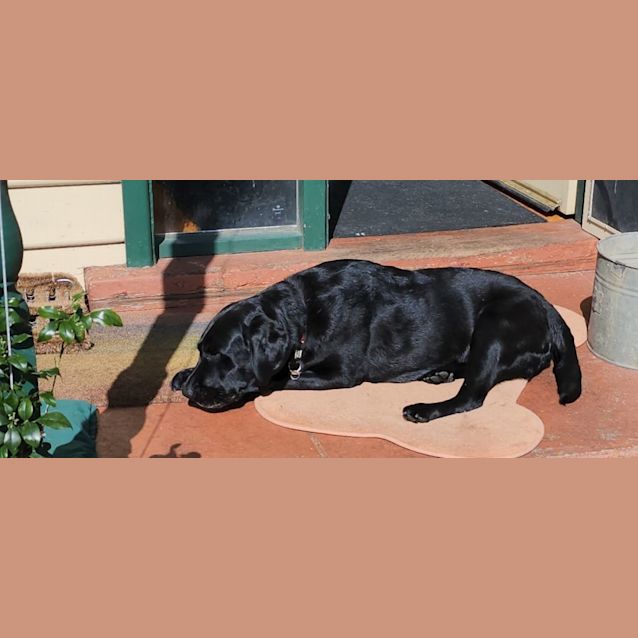 Photo of Georgie Wiggles