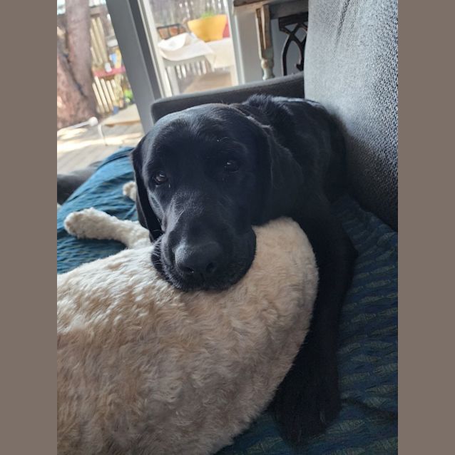 Photo of Georgie Wiggles