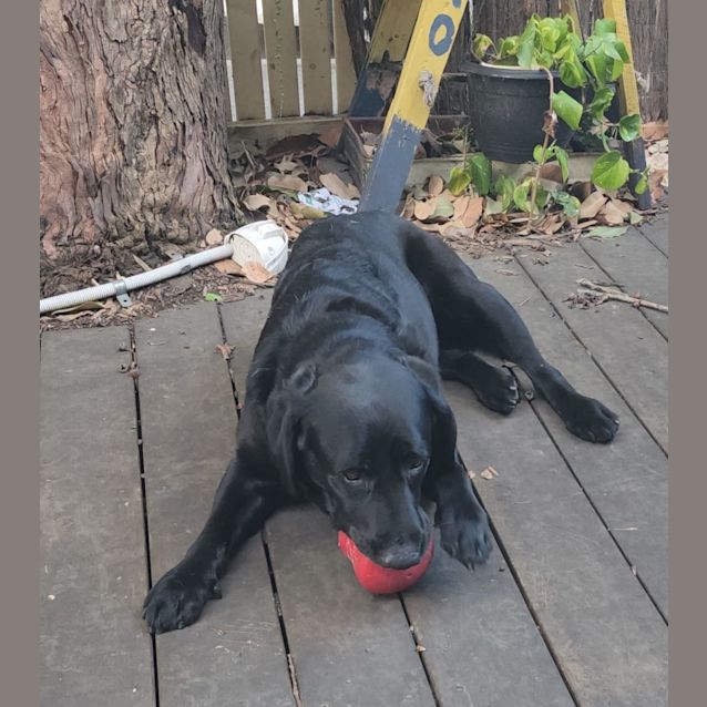 Photo of Georgie Wiggles