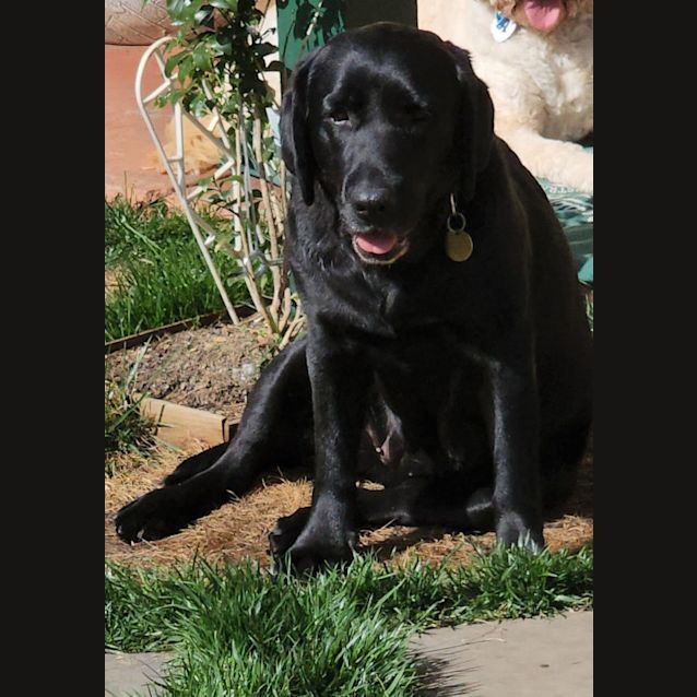 Photo of Georgie Wiggles