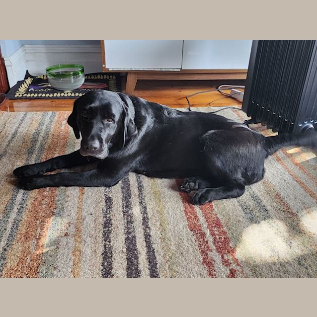 Photo of Georgie Wiggles