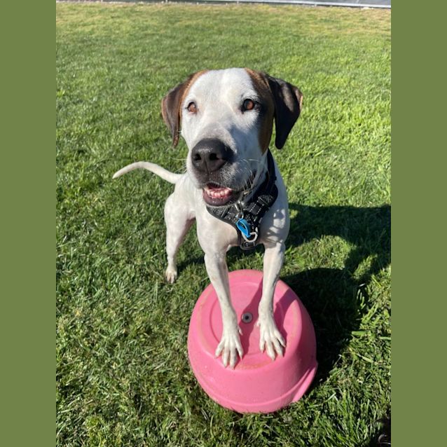 Photo of Tucker