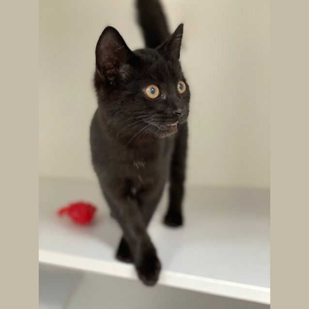 Photo of Charles (9647)