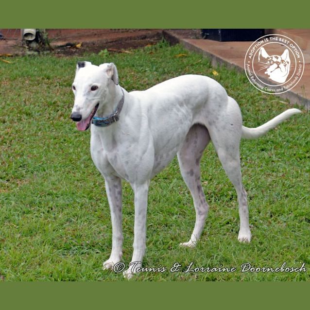 Photo of Miley (Smiling Walnut)