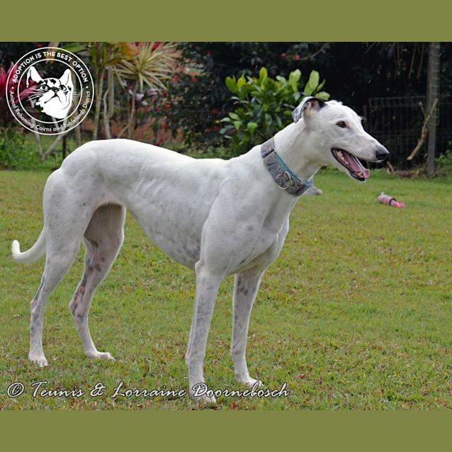 Photo of Miley (Smiling Walnut)