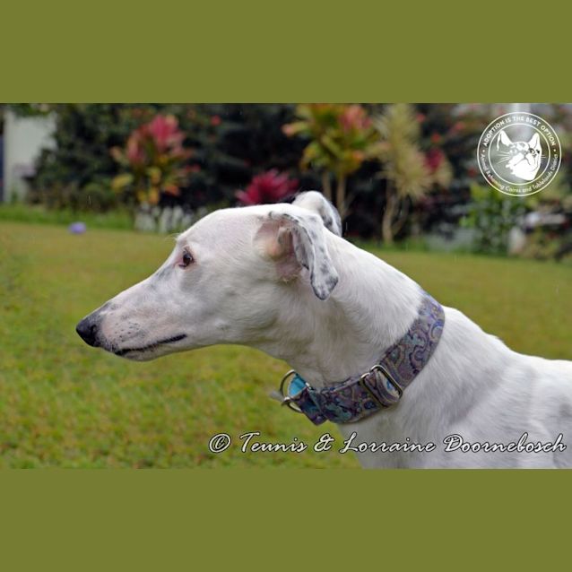 Photo of Miley (Smiling Walnut)